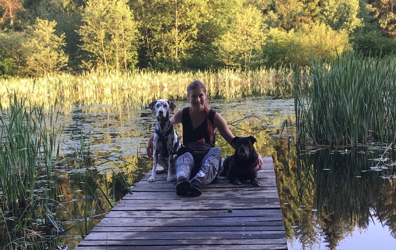 Ich & meine 2 am See Hundepension Hundephysio Tierheilpraxis Wilsdruff