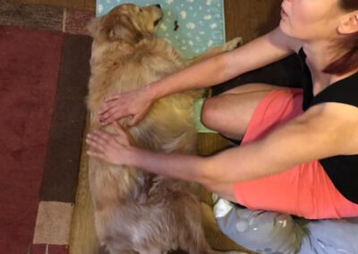 Massage bei Maike Kunze 4 Mobile Hundephysio Tierheilpraxis Wilsdruff