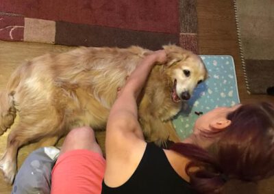 Massage bei Maike Kunze 2 Mobile Hundephysio Tierheilpraxis Wilsdruff