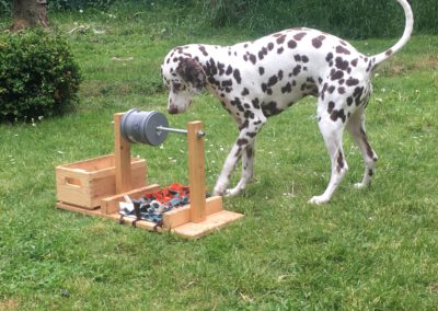Hund Denkspiel selber bauen Beschäftigung Hundeschule Wilsdruff Zauberhunde 2