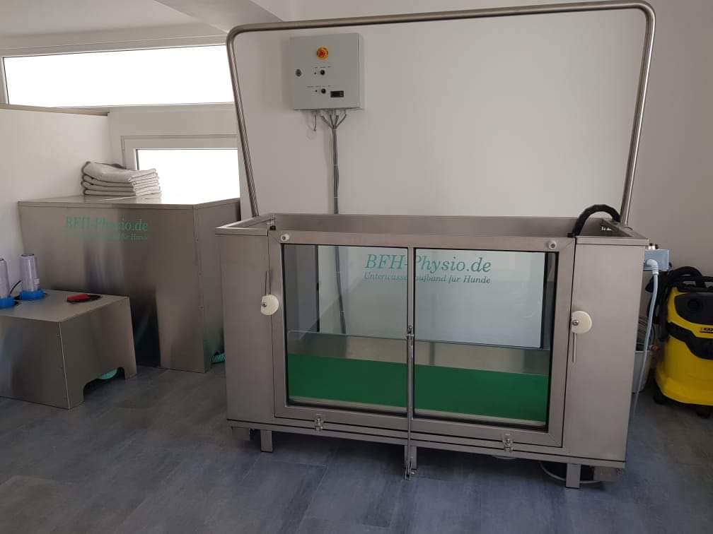 Unterwasserlaufband für Hunde Hundephysiotherapie Zauberhunde Wilsdruff 7 Unterwasserlaufband für Hunde Hundephysiotherapie Zauberhunde Wilsdruff 7