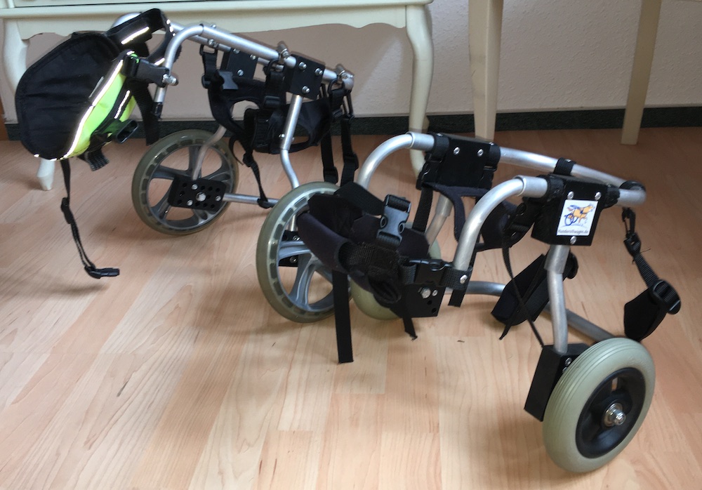 Rollwagen für Hunde Tierorthopädie Hundephysio Dresden Rollwagen für Hunde Tierorthopädie Hundephysio Dresden