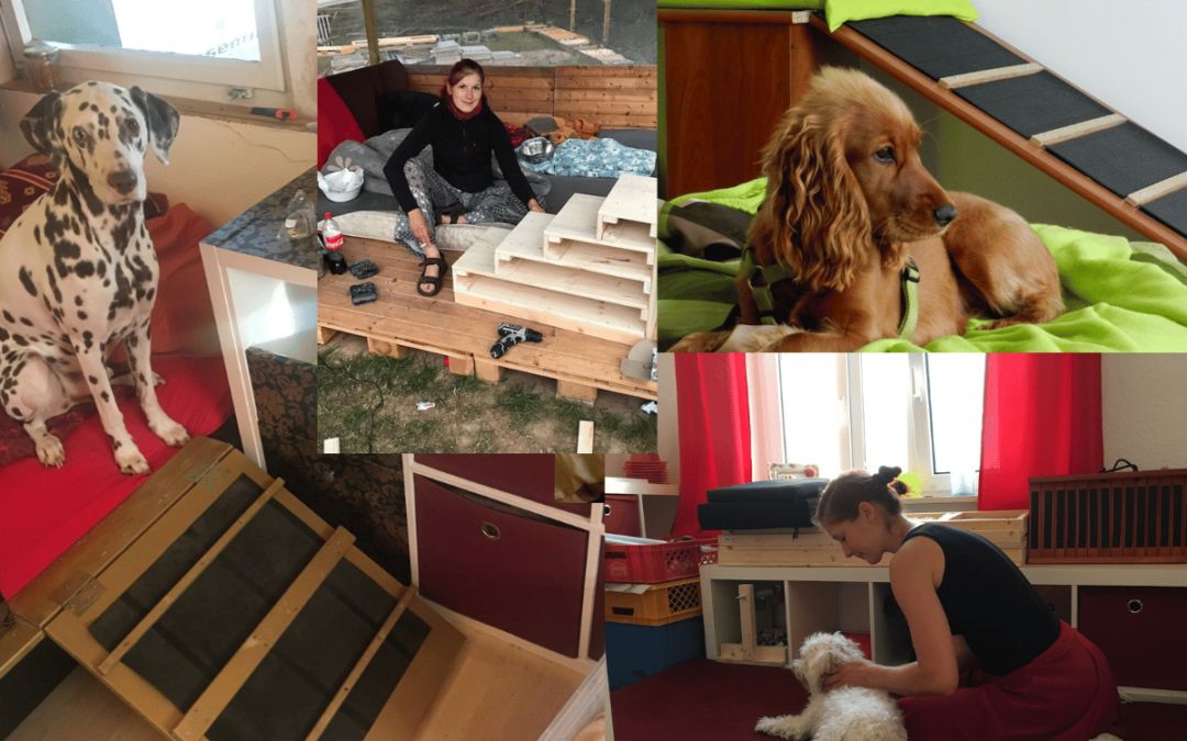 Eine Hunderampe für Bett, Sofa und Auto selber bauen