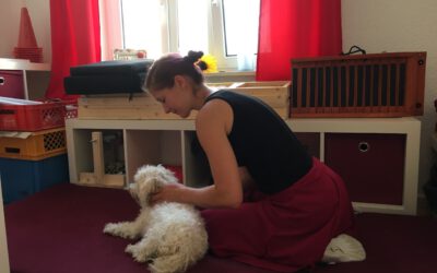Massiere deinen Hund – Massagegriffe für Entspannung und Gesundheit