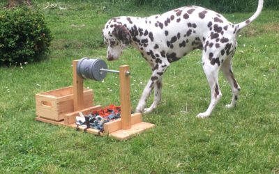 Intelligenzspielzeug für Hunde aus Holz selber bauen