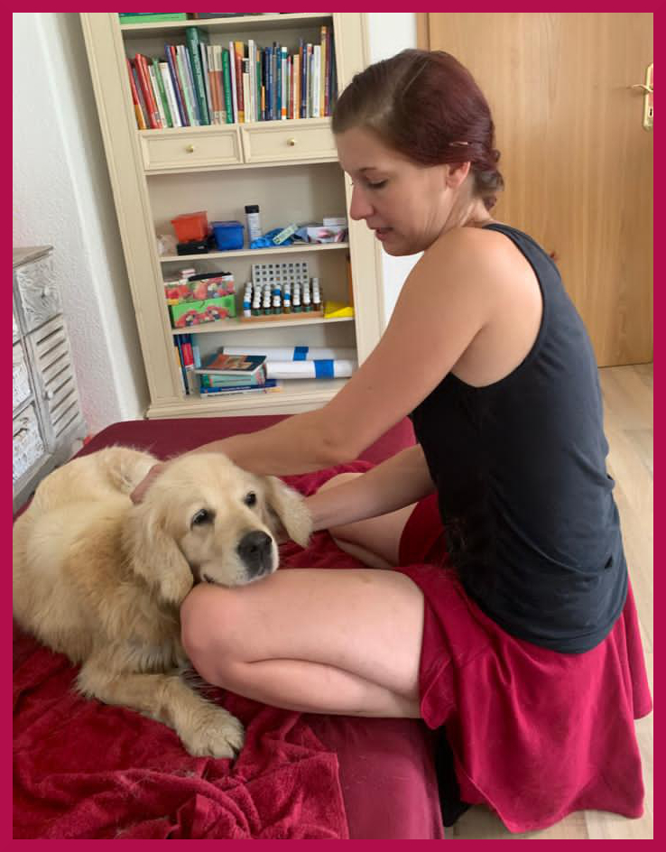 Hundephysiotherapeutin Vivien Wittig massiert Golden Retriever Hündin Emma