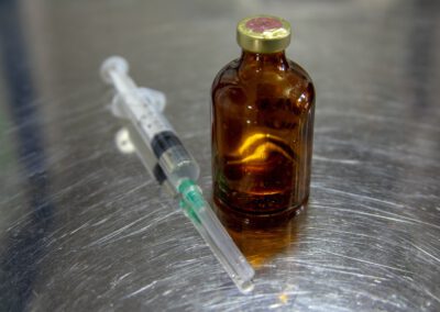 Fläschchen und Injektions-Spritze auf dem Tierarzt-Tisch