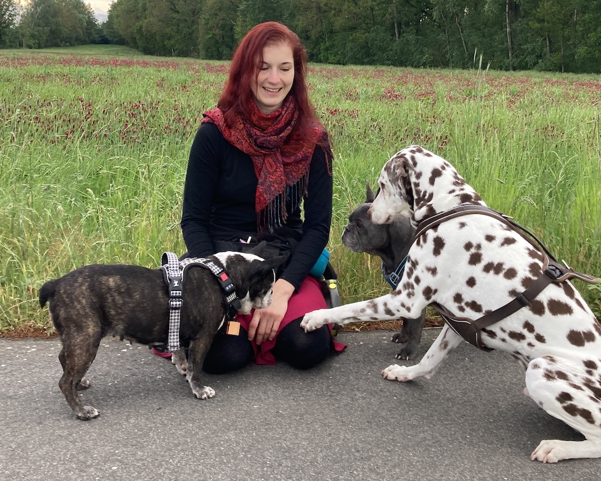 Vivien und die blinde Hündin Noa, der taube Dalmatiner Lucky und Frenchie Quincy