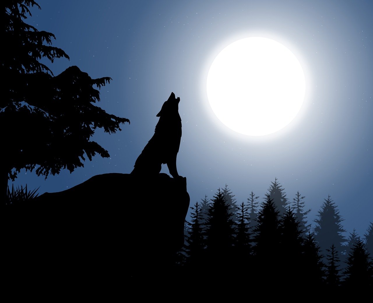 Ein Wolf heult auf einer Klippe den Mond an - Grafik